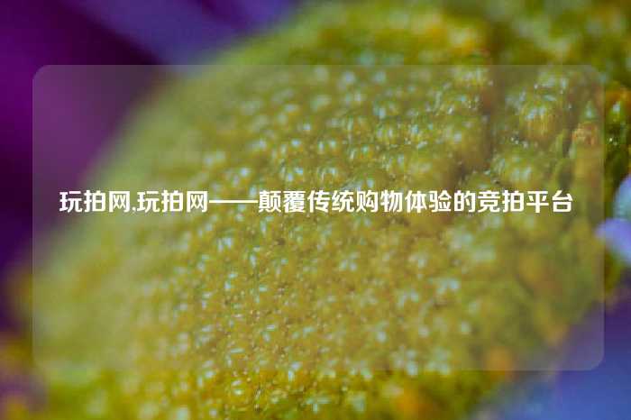 玩拍网,玩拍网——颠覆传统购物体验的竞拍平台
