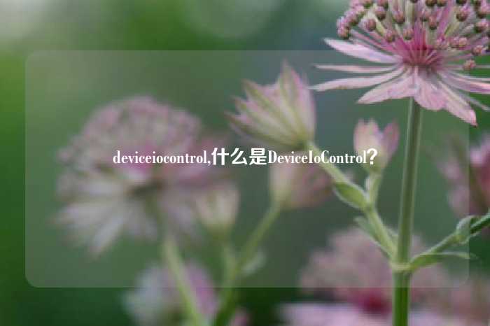 deviceiocontrol,什么是DeviceIoControl？