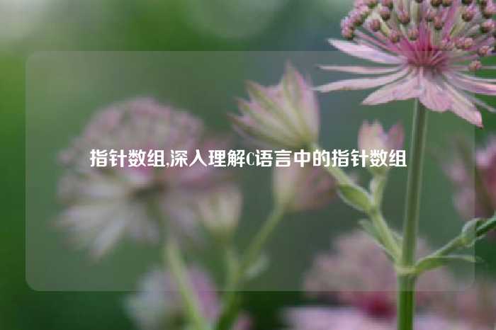 指针数组,深入理解C语言中的指针数组