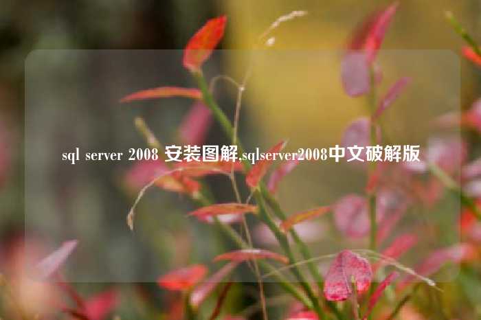 sql server 2008 安装图解,sqlserver2008中文破解版
