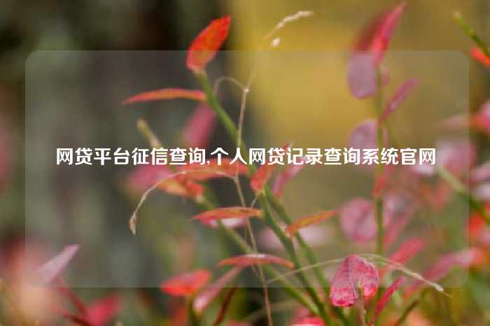 网贷平台征信查询,个人网贷记录查询系统官网