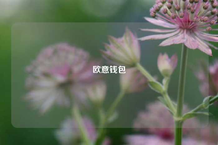 欧意钱包