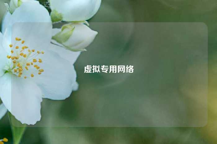 虚拟专用网络