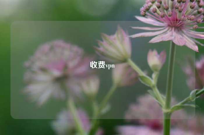 收费vpn