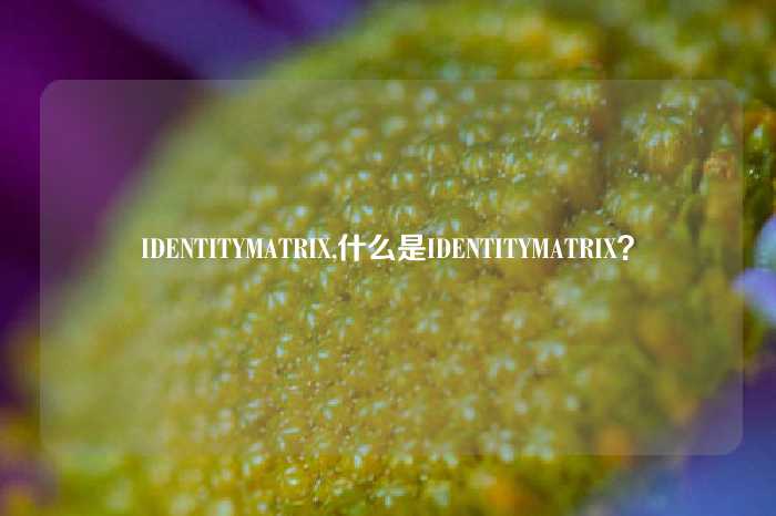 IDENTITYMATRIX,什么是IDENTITYMATRIX?