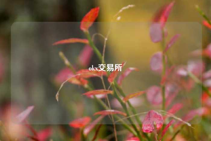 okx交易所