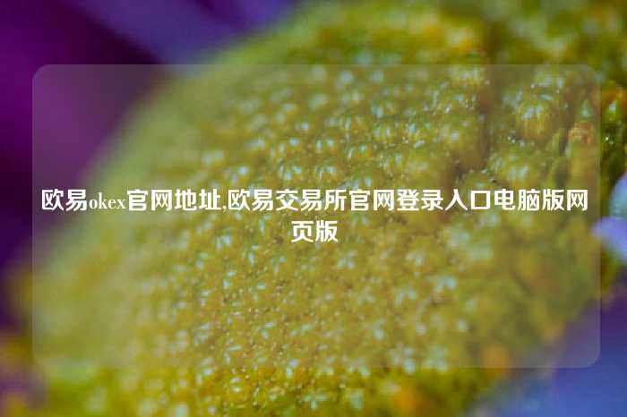 欧易okex官网地址,欧易交易所官网登录入口电脑版网页版