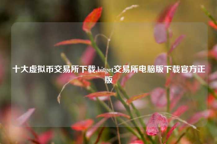 十大虚拟币交易所下载,bitget交易所电脑版下载官方正版