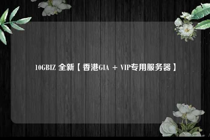 10GBIZ 全新【香港GIA + VIP专用服务器】